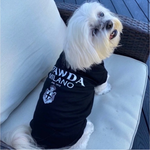 Pawda Milano Dog Tee in Black/ Cat Tee Shirt / Brand New - Picture 3 of 9